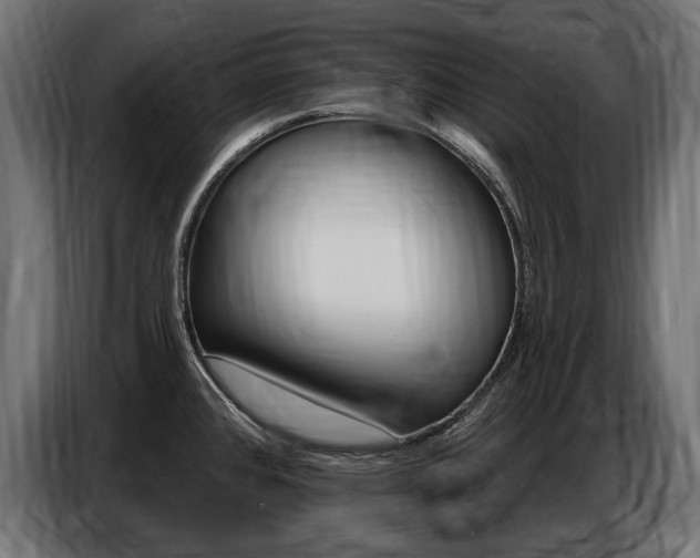 X0000086801384200704130851