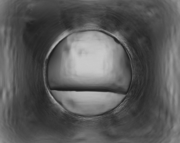 X0000086801390200704130851