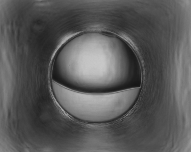 X0000086801392200704130851
