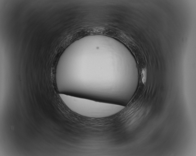 X0000086801395200704130850