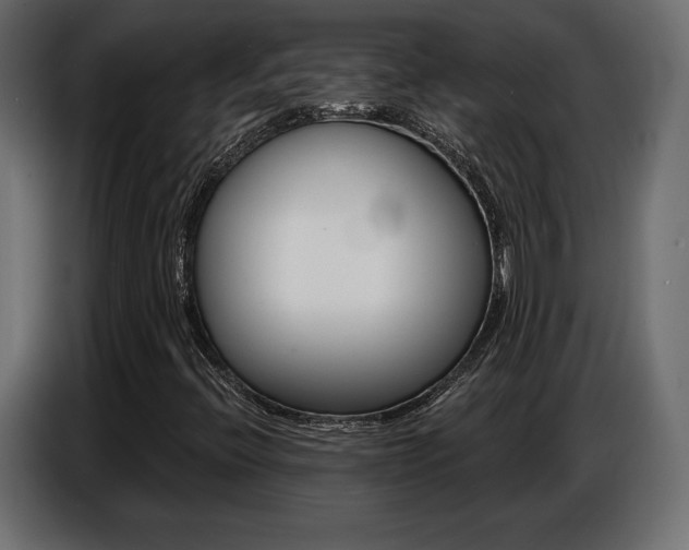 X0000086801396200704130850