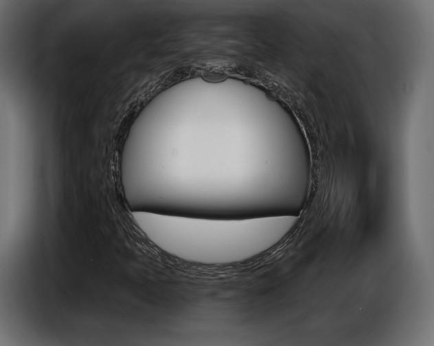 X0000086801397200704130850