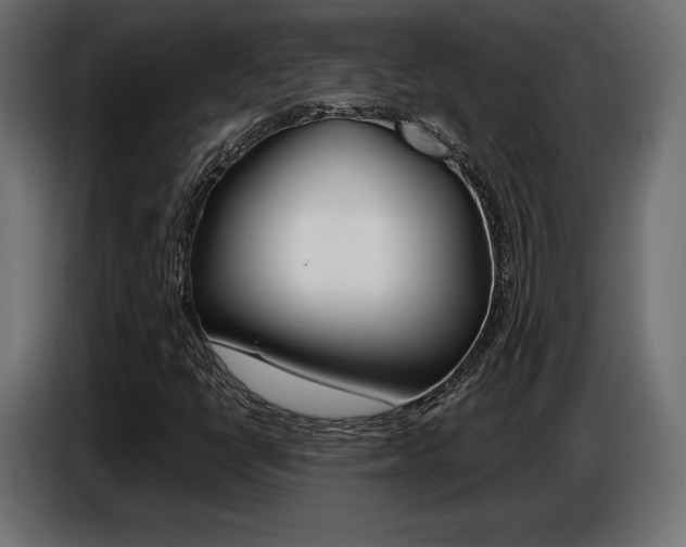 X0000086801398200704130850