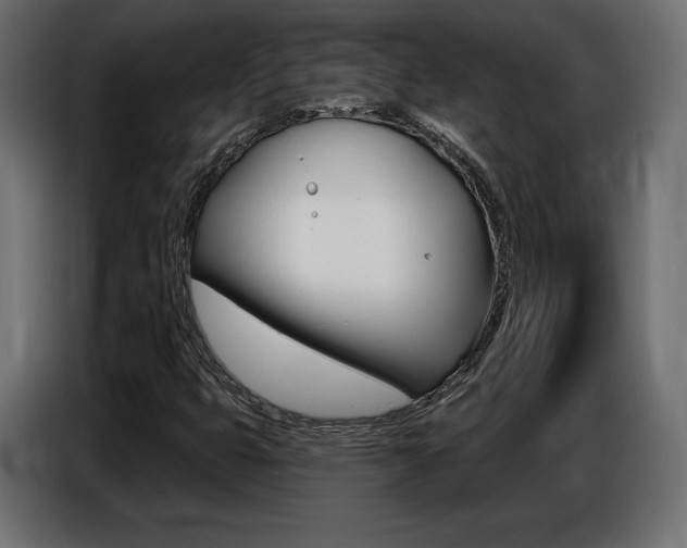 X0000086801399200704130850
