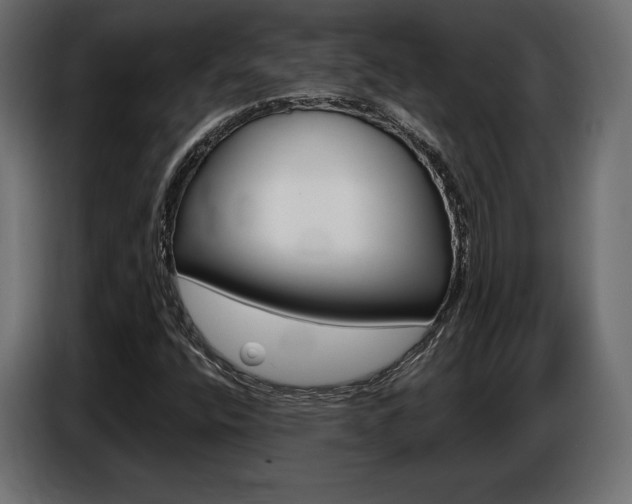 X0000086801400200704130850