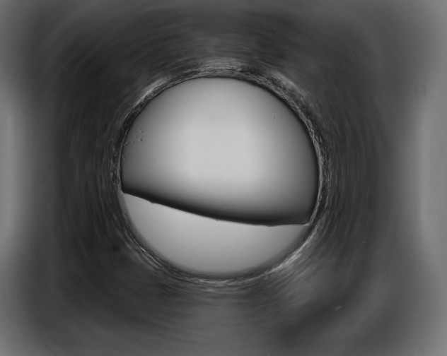 X0000086801401200704130850