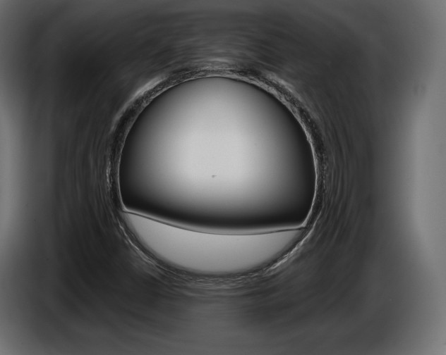 X0000086801402200704130850