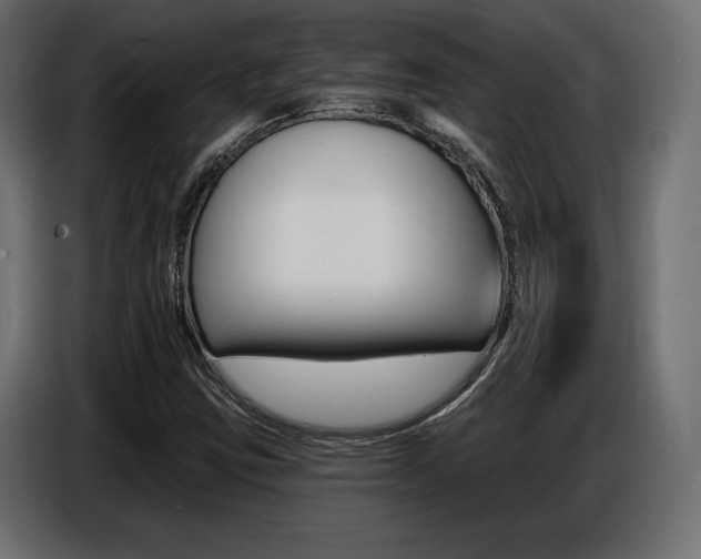 X0000086801403200704130850