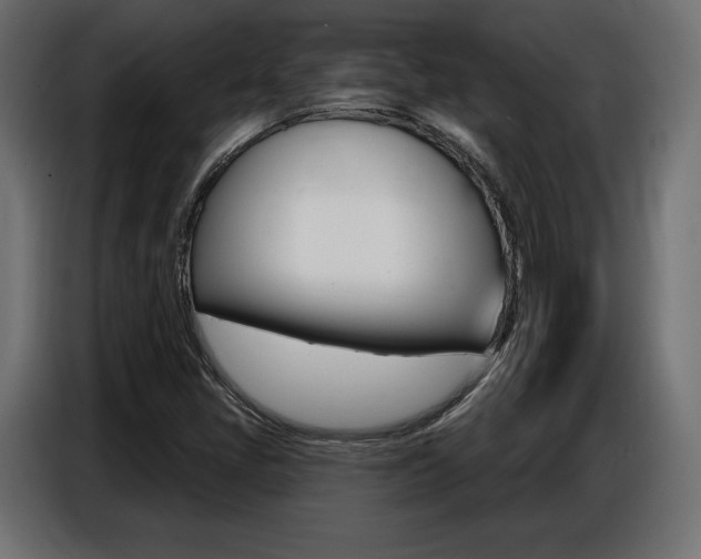 X0000086801405200704130850