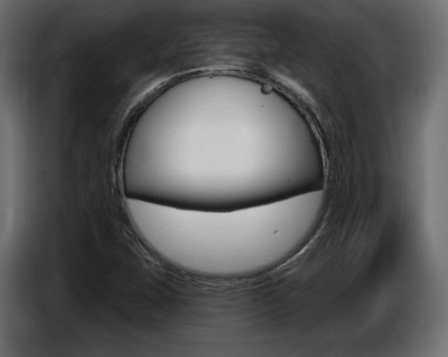 X0000086801407200704130850