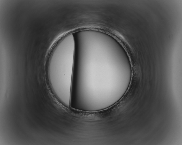 X0000086801408200704130850
