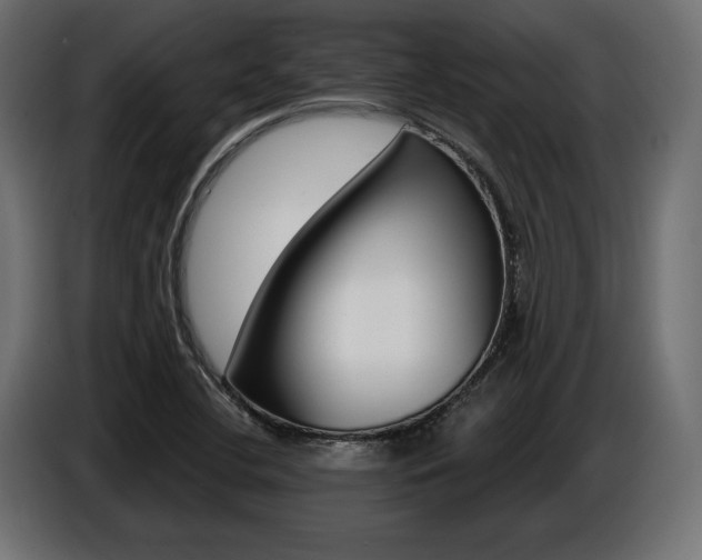 X0000086801412200704130850
