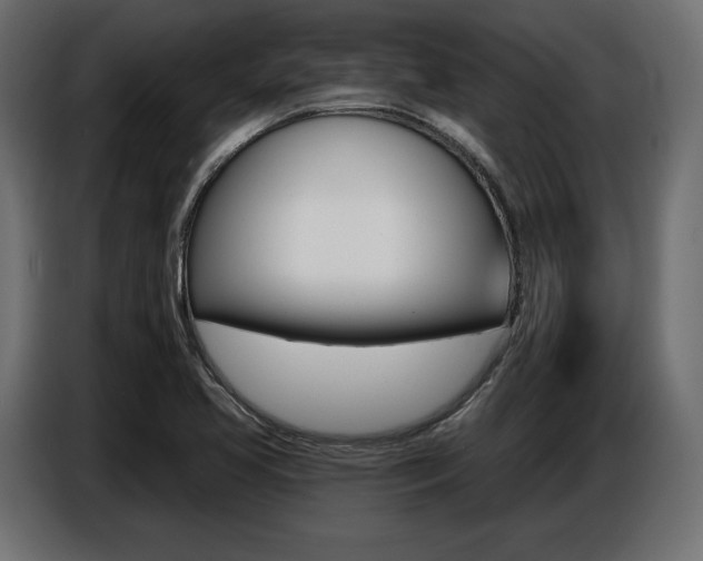 X0000086801413200704130850