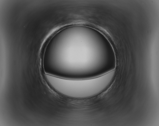 X0000086801414200704130850