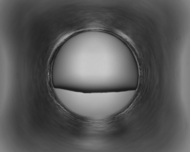 X0000086801415200704130850