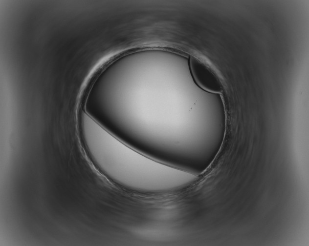 X0000086801416200704130850