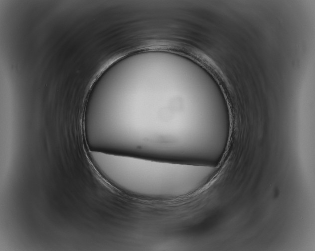 X0000086801417200704130850