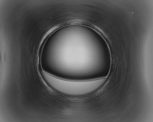 X0000086801418200704130850