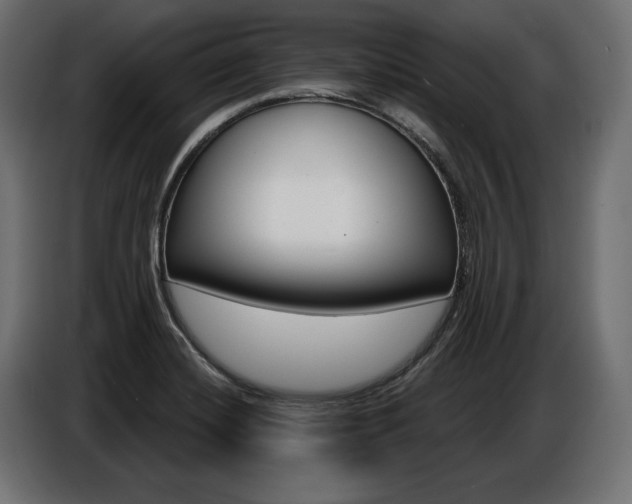 X0000086801420200704130850
