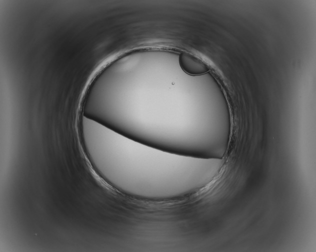 X0000086801421200704130850