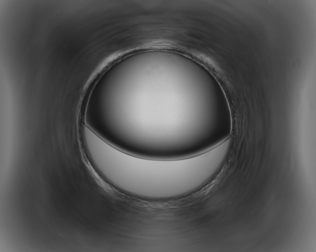 X0000086801422200704130850