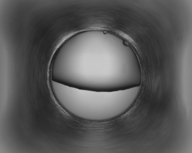 X0000086801423200704130850
