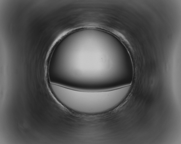 X0000086801424200704130850