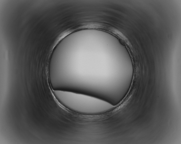 X0000086801425200704130850