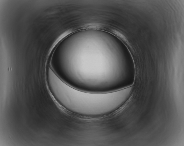 X0000086801426200704130850