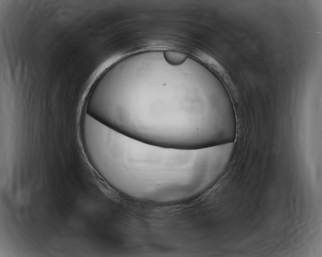 X0000086801427200704130850