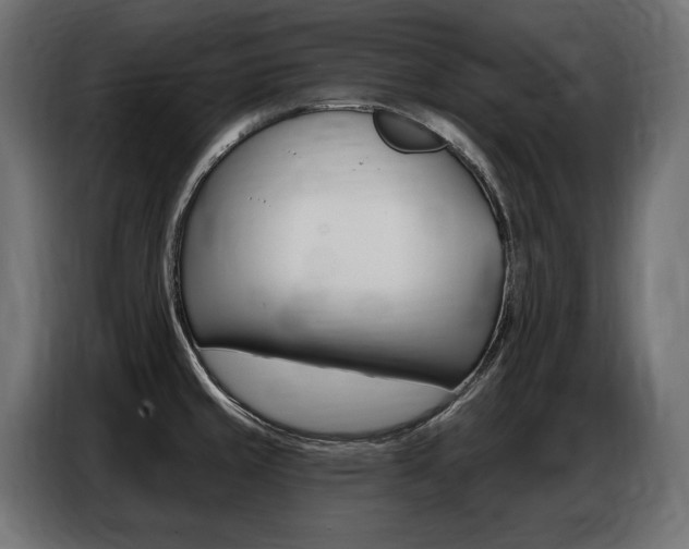 X0000086801429200704130850