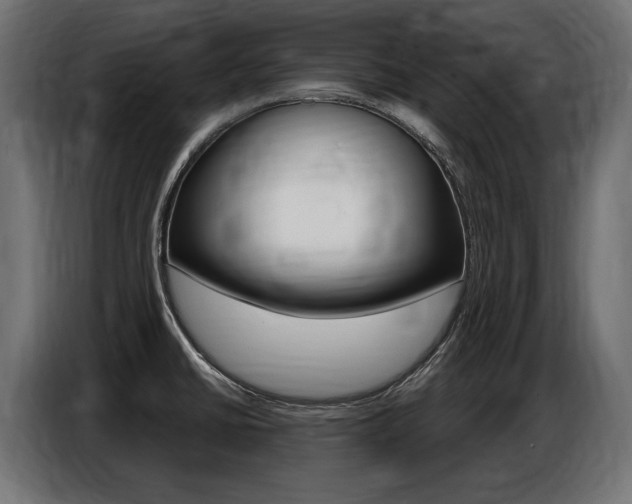 X0000086801430200704130850