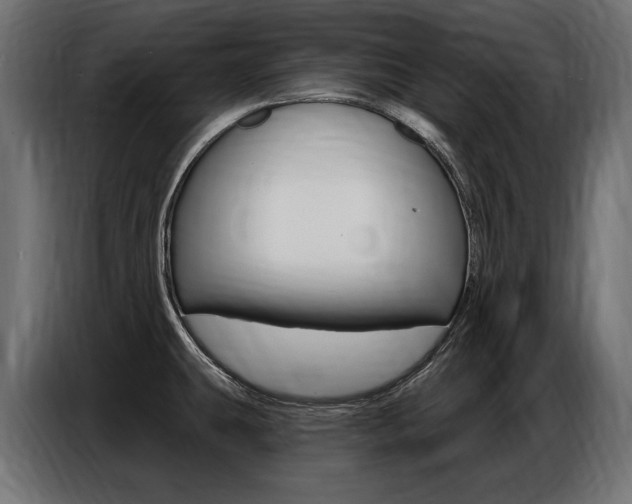 X0000086801431200704130850