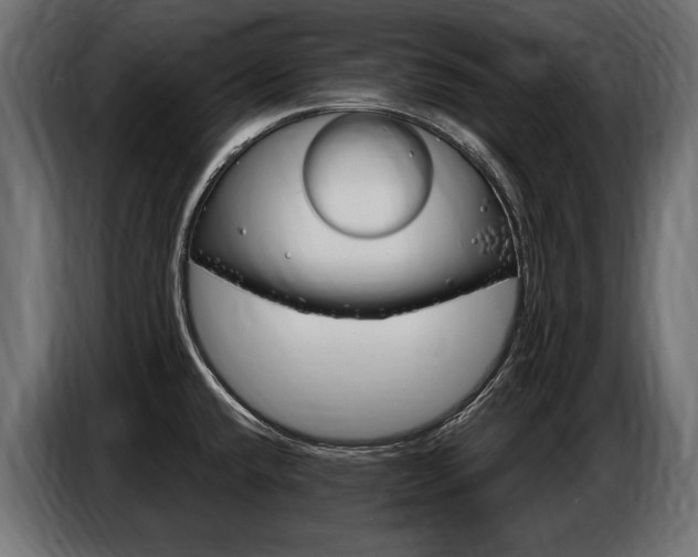 X0000086801432200704130851