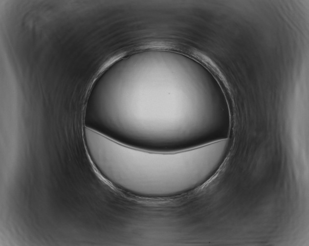 X0000086801433200704130851