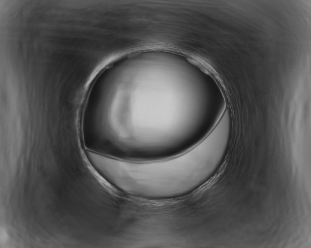 X0000086801438200704130851