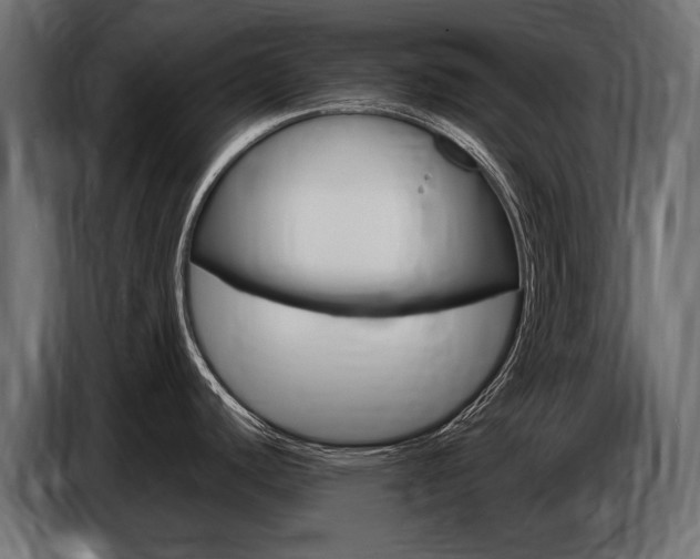 X0000086801440200704130851