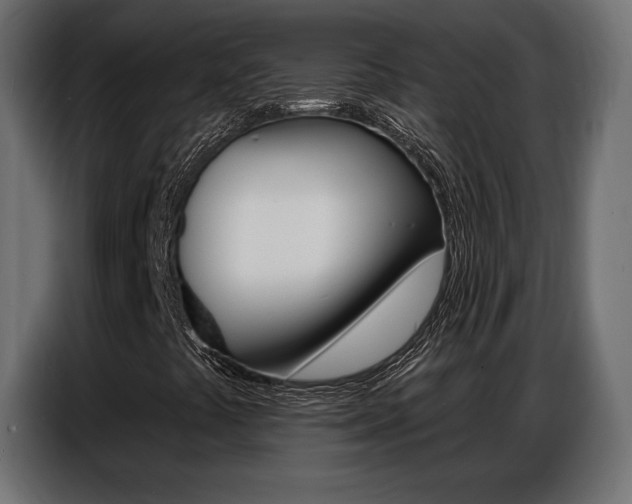 X0000086801441200704130850
