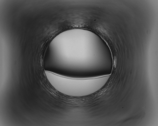 X0000086801444200704130850