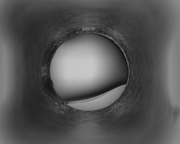 X0000086801445200704130850