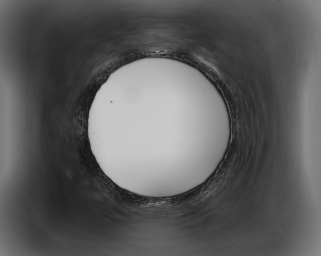 X0000086801447200704130850