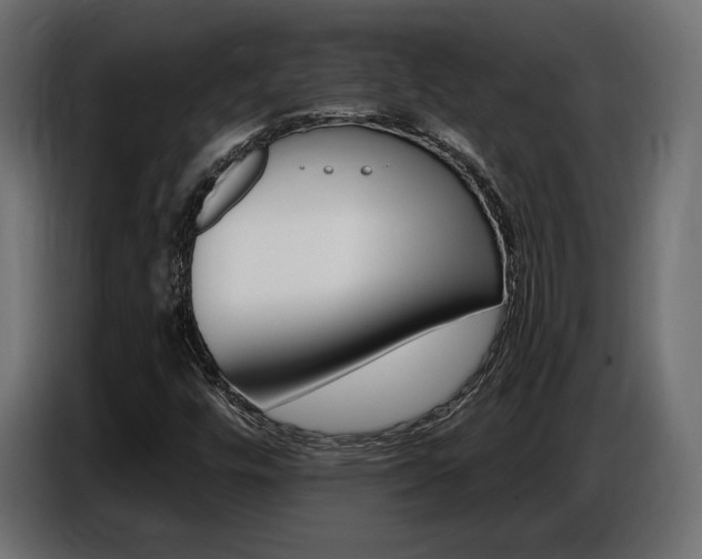 X0000086801448200704130850