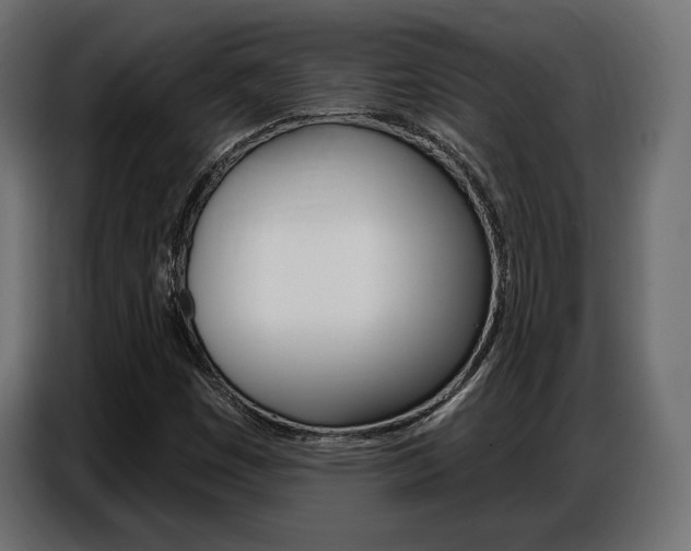 X0000086801449200704130850