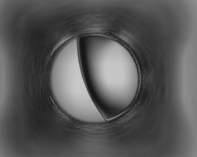 X0000086801450200704130850