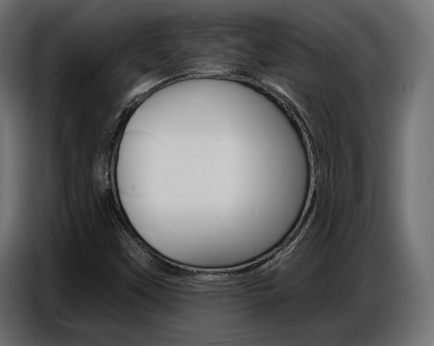 X0000086801451200704130850