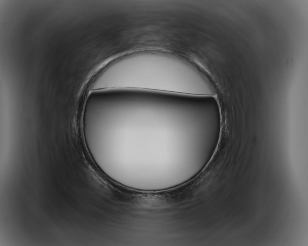 X0000086801452200704130850
