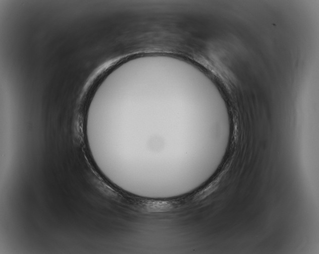 X0000086801454200704130850