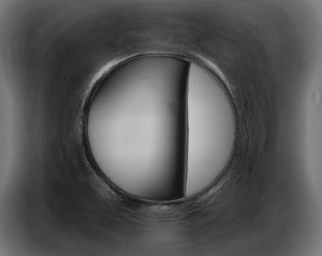 X0000086801463200704130850