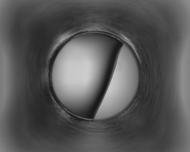 X0000086801464200704130850