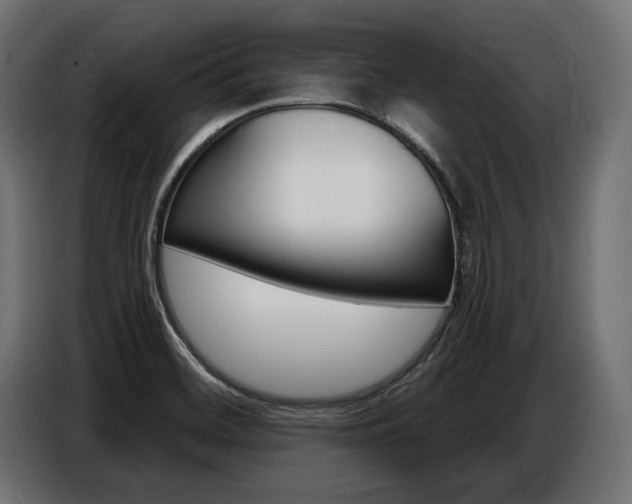 X0000086801468200704130850